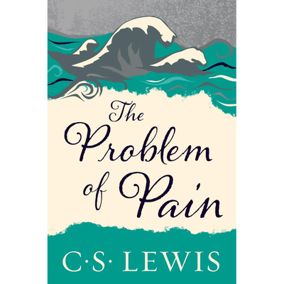 The Problem of Pain