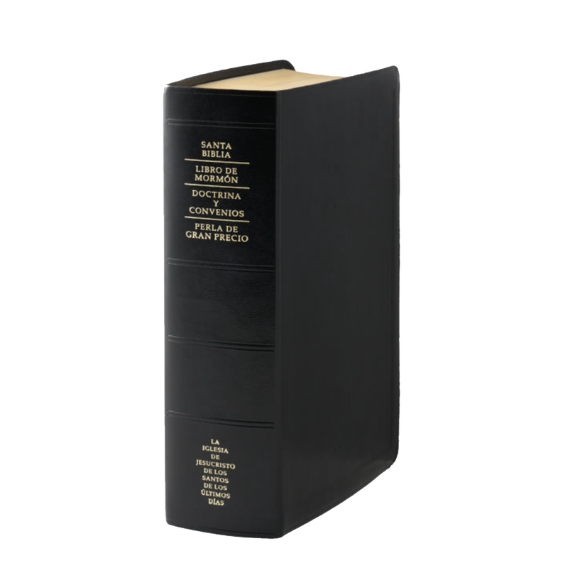 Large Quad Scripture Case - gray