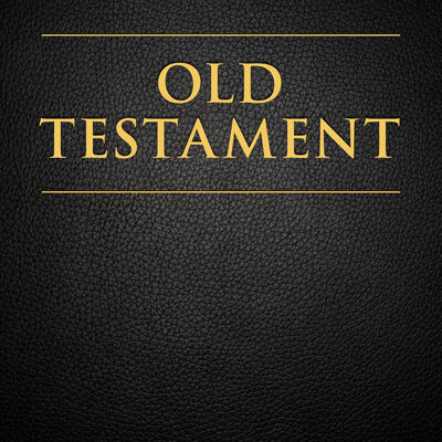 The Official Audio for the Old Testament: Male Voice