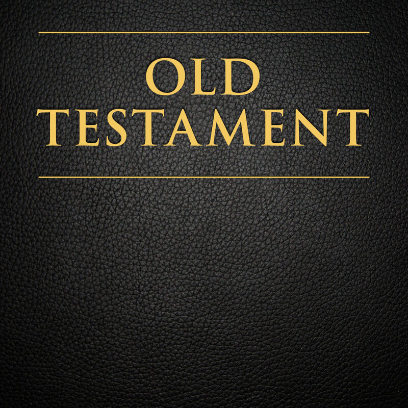 The Official Audio for the Old Testament: Male Voice, , large image number 0