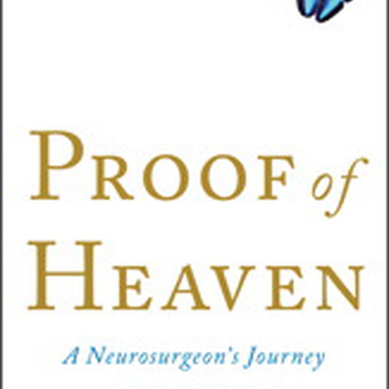Proof of Heaven: A Neurosurgeon's Journey into the Afterlife, , large image number 1