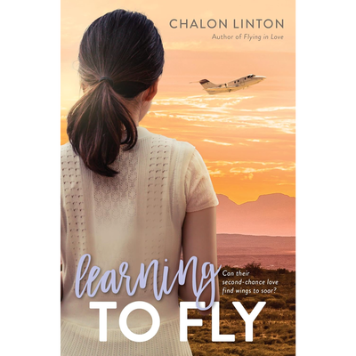Air Force Romance, Vol. 3: Learning to Fly